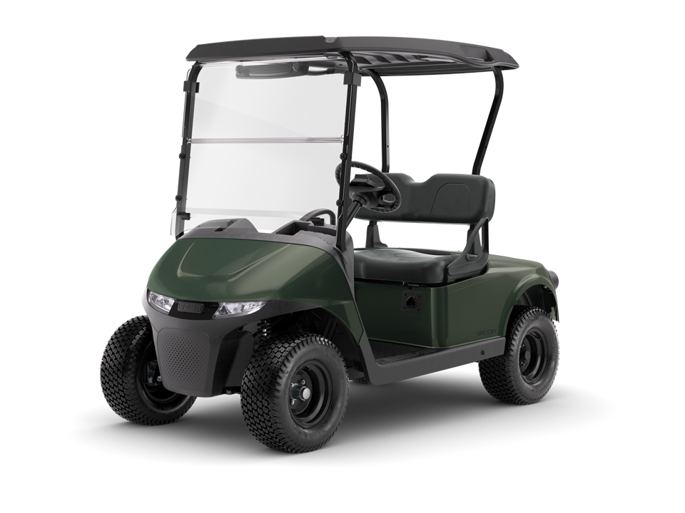 RXV 2