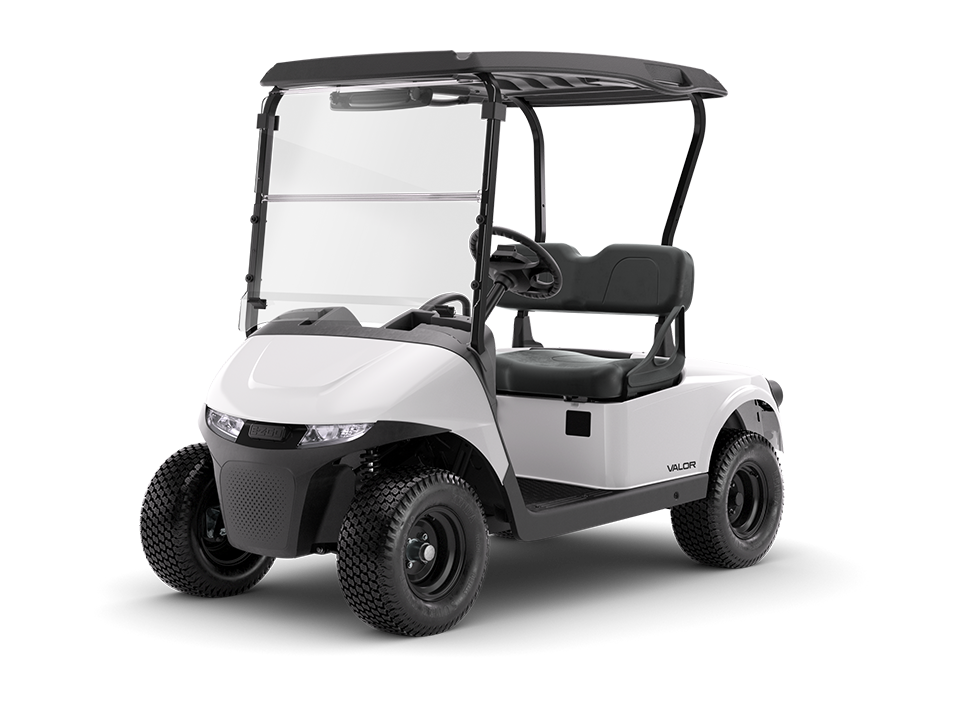 RXV 2